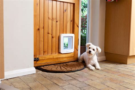 SureFlap Microchip Pet Door Electronic locking pet door for cats 